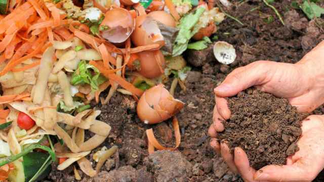 El compost es un fertilizante natural que puede elaborarse de forma casera.