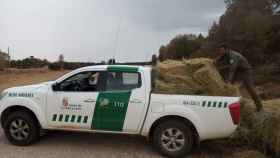 La Junta comienza el reparto de alfalfa como apoyo a la fauna del incendio del Arlanza en Burgos