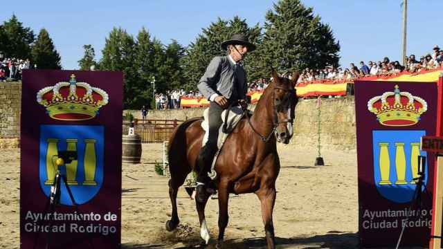 El caballo, protagonista en Ciudad Rodrigo