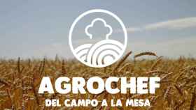 Agrochef presenta su proyecto en Cigales