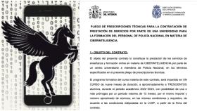 Documento de la licitación publicada por el Ministerio del Interior.