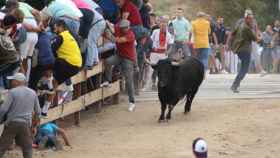 Imagen del encierro del Toro de la Vega de este martes en Tordesillas