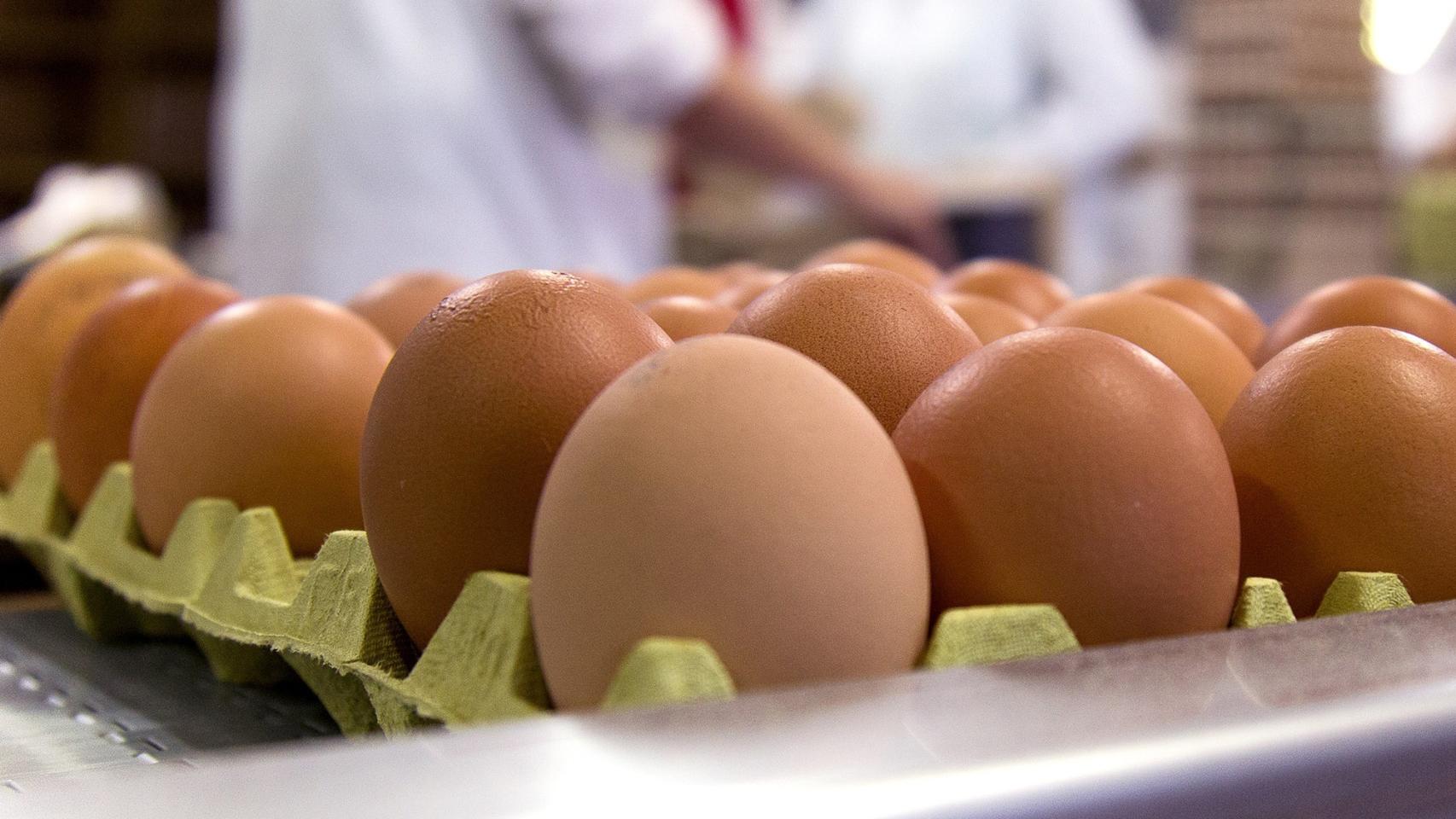 Alerta alimentaria: retiran lotes de huevos Kinder en España por