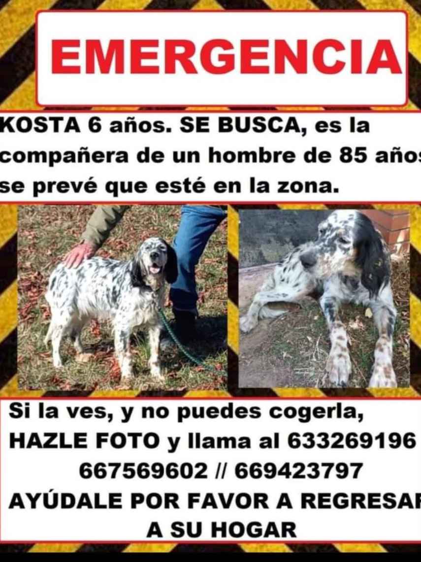 Información para contactar con los dueños de Kosta