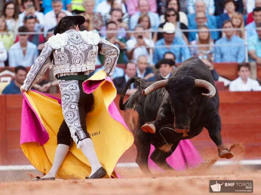 La personalidad y el clasicismo de Morante de la Puebla con el capote al cuarto toro bis