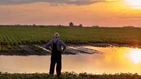 Un agricultor de pie frente a un campo inundado