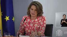 Teresa Ribera, vicepresidenta tercera y ministra para la Transición Ecológica