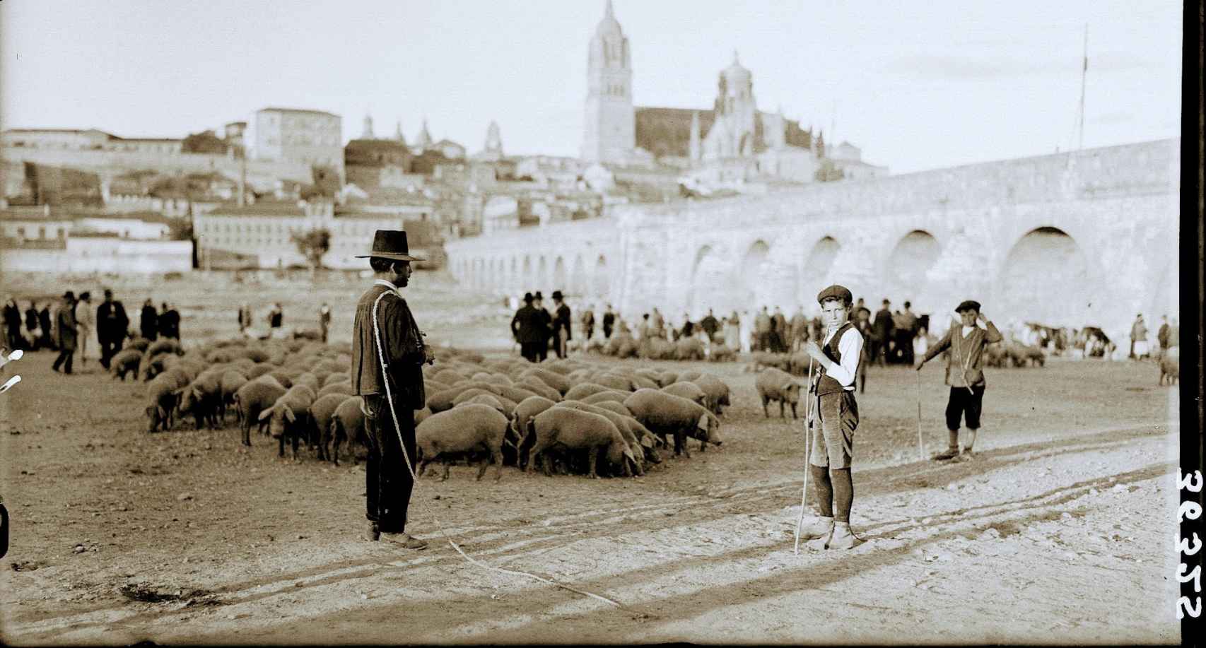 Salamanca, primera década del siglo XX, el mercado de cerdos en el Puente Romano