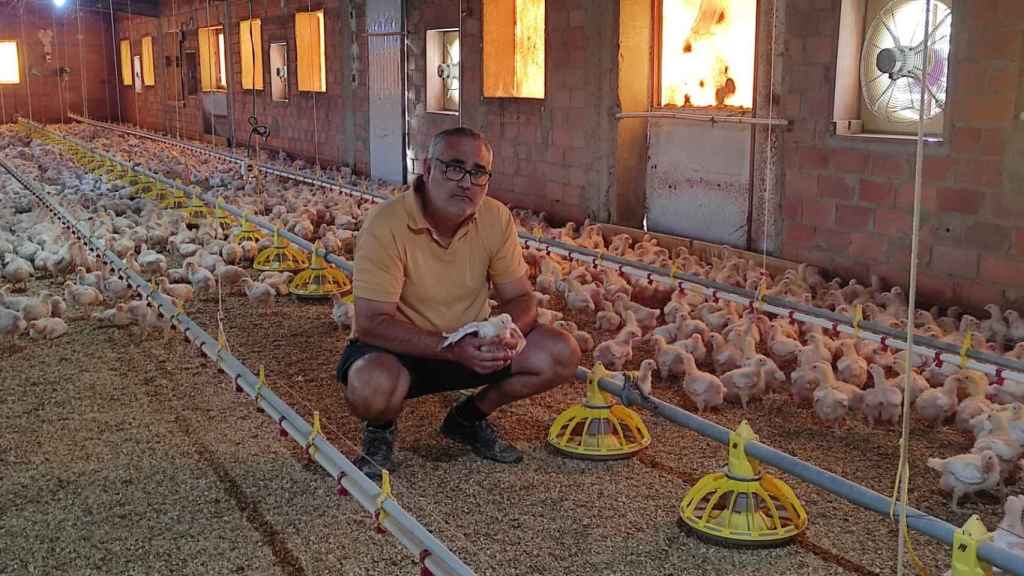 Eloy, criador de pollo en una granja de Zaragoza.