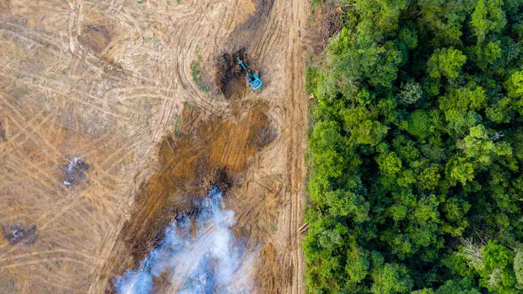 Vista aérea de parte del Amazonas deforestado.