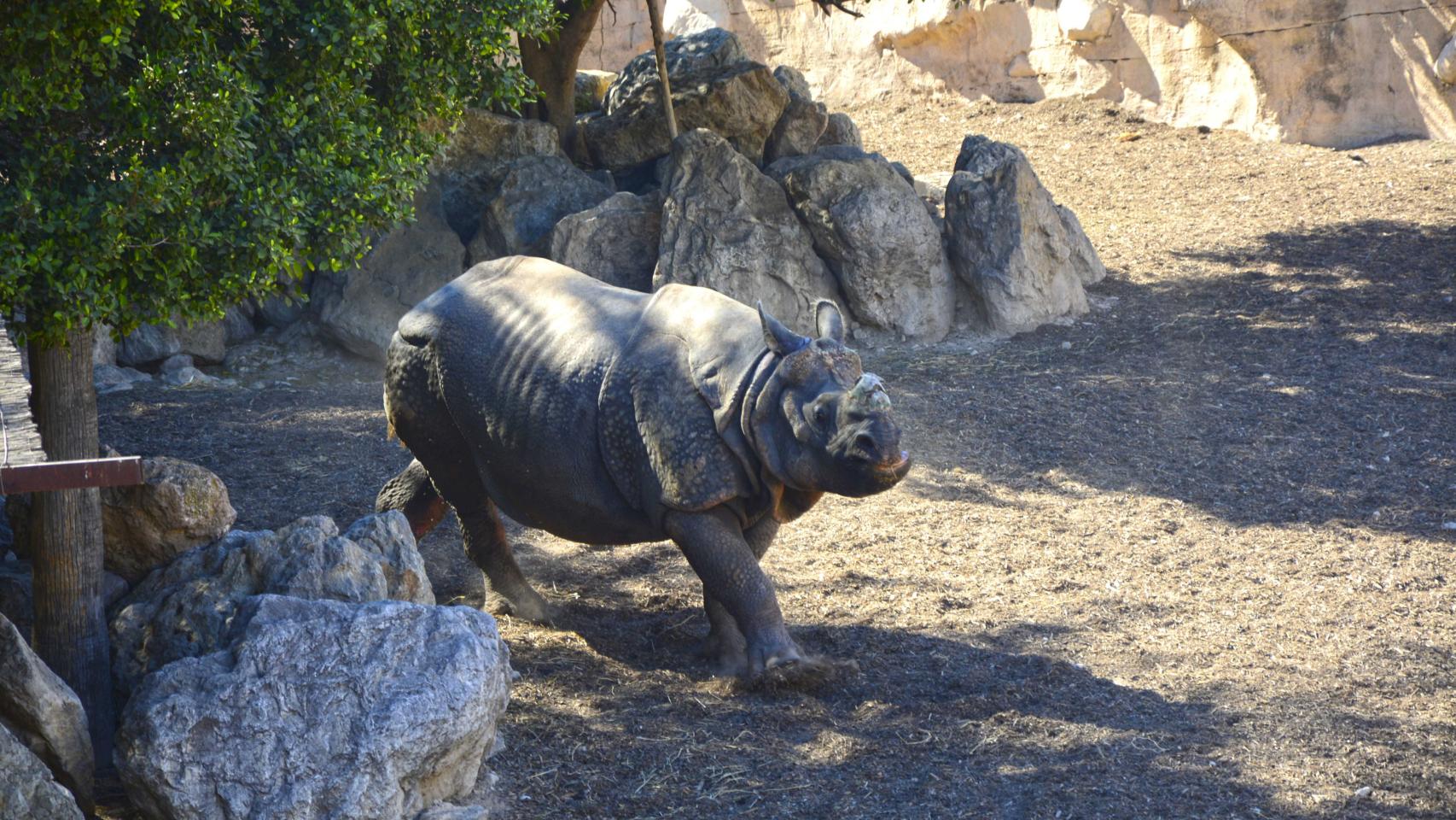 Terra Natura Benidorm: 