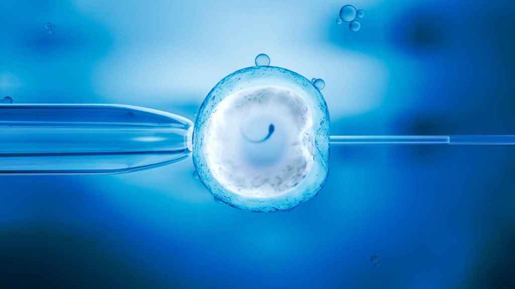 Los niños nacidos por reproducción asistida tienen más riesgo de cáncer infantil temprano