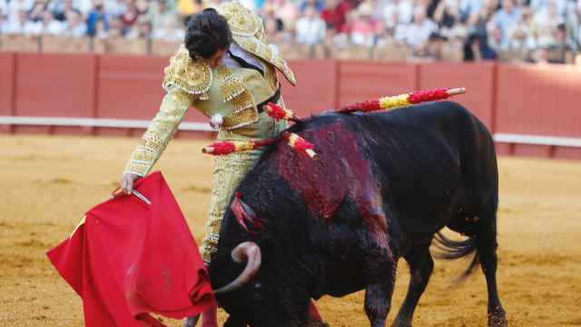 Morante de La Puebla da un derechazo a un toro de García-Jiménez en Sevilla.