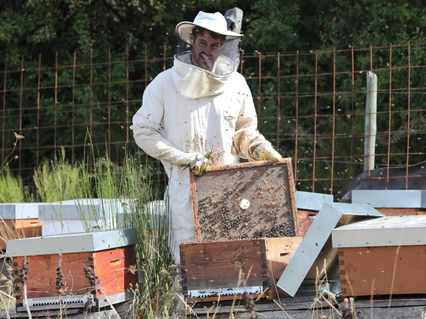 El apicultor Miguel González, en su lugar de trabajo en Celada de Robledecedo, Palencia.