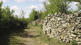 Castro de Yecla de Yeltes