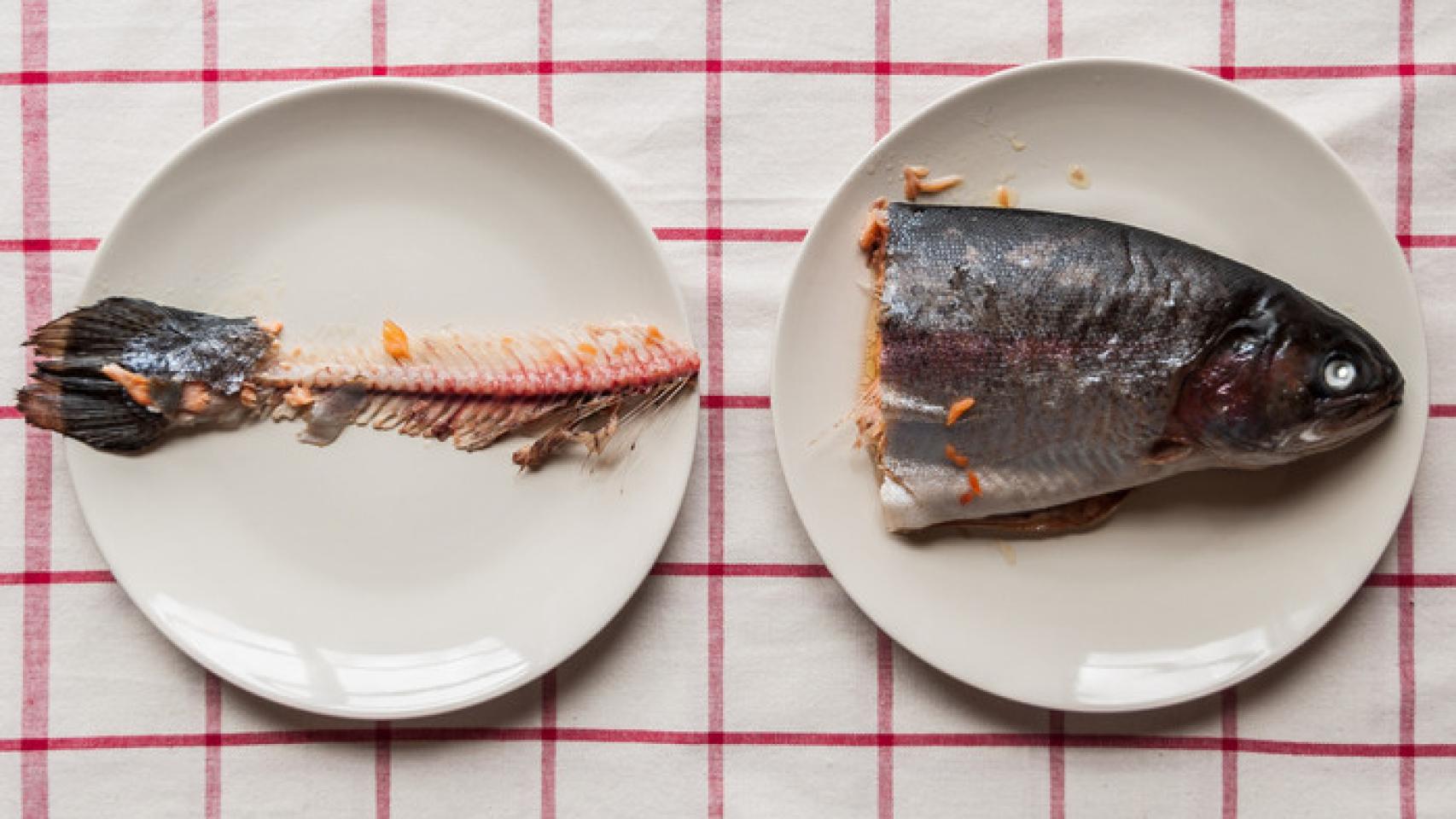Cómo aprovechar las espinas de pescado: la deliciosa receta de que te va a  conquistar