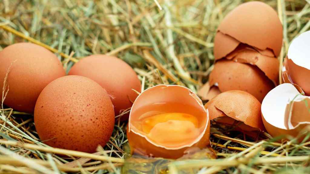 Aprovecha las cáscaras de huevos para estos usos sorprendentes y desconocidos