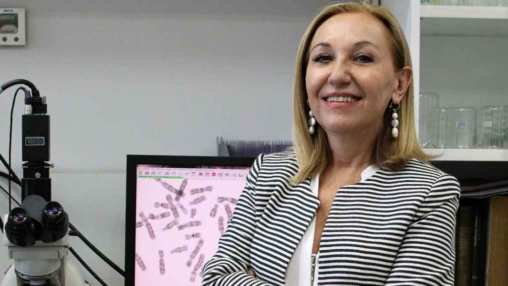 Carmen Ayuso, jefa de genética en la Fundación Jiménez Díaz.