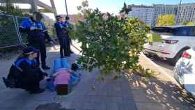 La mujer herida tras el impacto de un árbol en Burgos