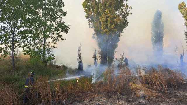 Los Bomberos de la Diputación de Valladolid luchan contra el fuego