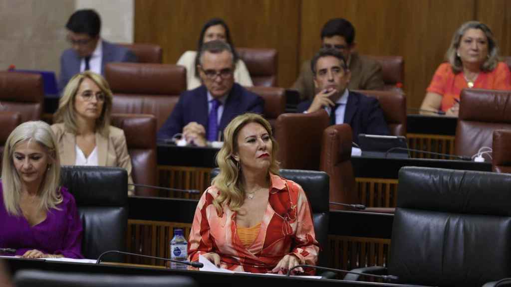 La consejera de Hacienda en Andalucía, Carolina España, durante el pleno en el Parlamento.