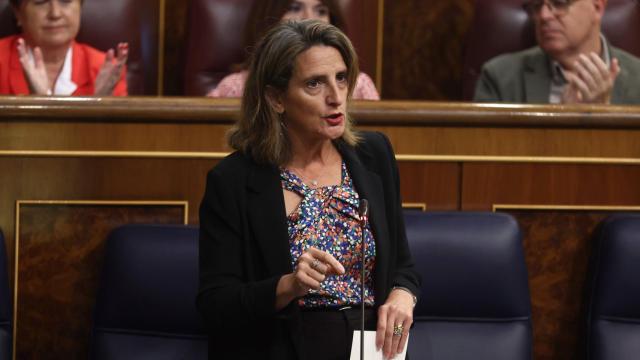 Vicepresidenta tercera y ministra para la Transición Ecológica, Teresa Ribera