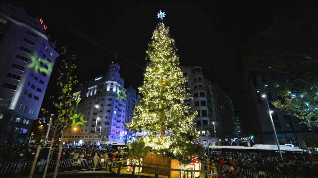 Esta próxima Navidad también habrá un abeto natural en Plaza España.