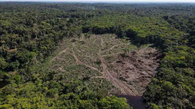 Imagen aérea de la deforestación de la Amazonia.