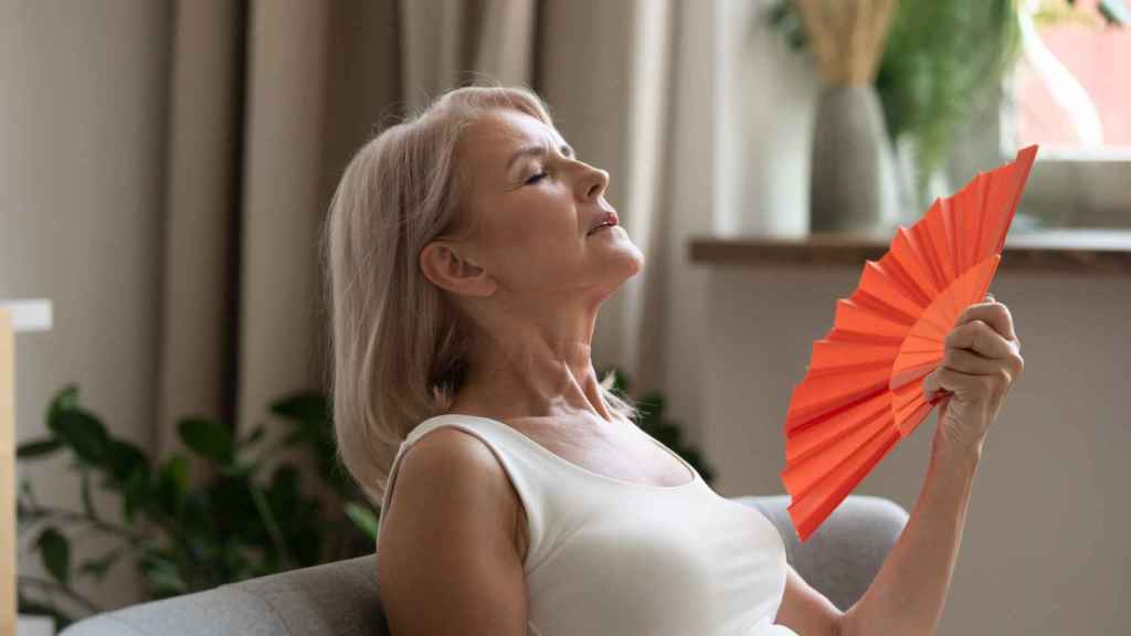 10 alimentos que reducen los sofocos producidos por la menopausia