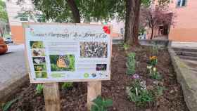 Cartel de 'El Oasis de las Mariposas' en el barrio de San Blas-Canillejas (Madrid)