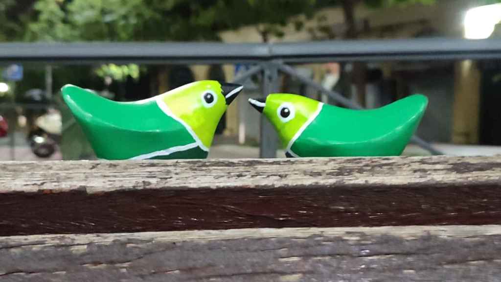 Estos enigmáticos pájaros vuelven a tomar las calles de Valladolid