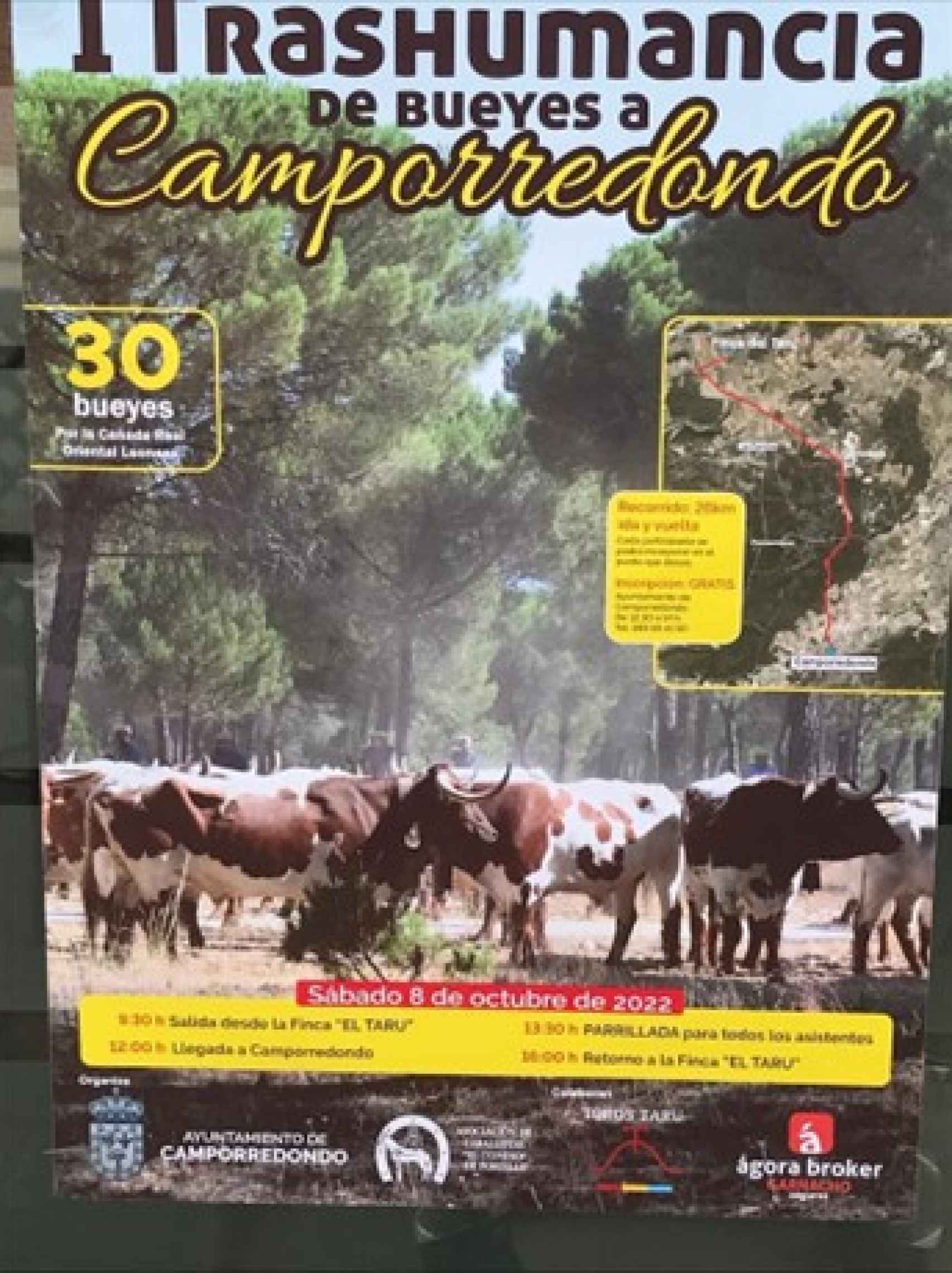 Cartel de II Trashumancia de bueyes en la provincia de Valladolid