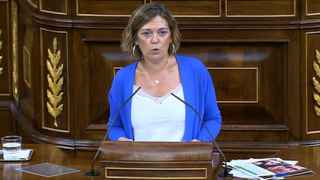 Una diputada del PP pide al Gobierno que copie a la ley de bienestar animal de Castilla-La Mancha