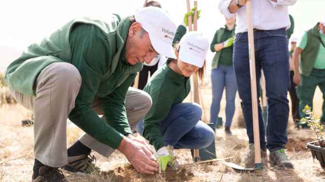 El presidente de Iberdrola en la jornada de reforestación de Navalacruz (Ávila)