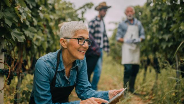 Una mujer usando la tecnología en un cultivo agrícola.