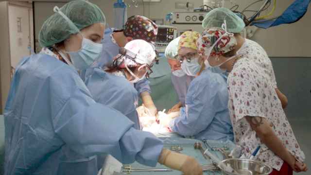 La operación que ha logrado efectuar el primer trasplante de intestino en asistolia del mundo.