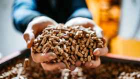 Pellets de lino: un nuevo biocombustible más barato que los pellets tradicionales.
