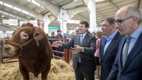 El presidente de la Junta de Castilla y León, Alfonso Fernández Mañueco, acompañado del Ministro de Agricultura, Pesca y Alimentación (MAPA), Luis Planas, y del presidente de la Diputación de Salamanca, Javier Iglesias, inaugura la Feria del Sector Agropecuario Salamaq 2022 y la 33 Exposición Internacional de Ganado Puro