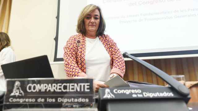La presidenta de la Autoridad Independiente de Responsabilidad Fiscal (AIReF), Cristina Herrero, durante su intervención en el Congreso.