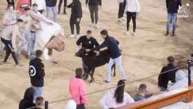 Imágenes de la Disco Vaca celebrada en Brihuega el pasado domingo.