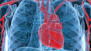 El factor oculto que está aumentando el riesgo de infarto y sobre el que alertan los cardiólogos