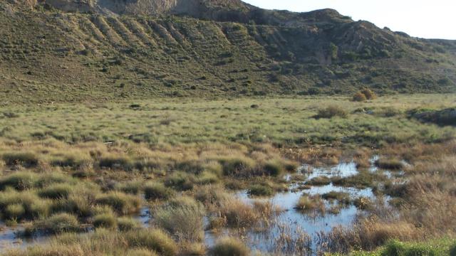 Terrenos del Saladar de Fontcalent, cerca de donde se proyecta la planta.