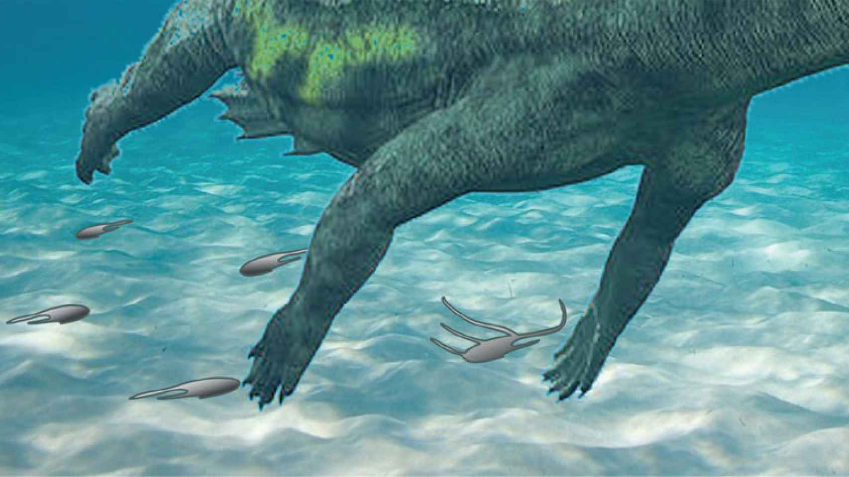 Descubren huellas de notosaurio de hace 240 millones de años en Guadalajara