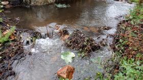 El río a su paso por Luyego de Somoza