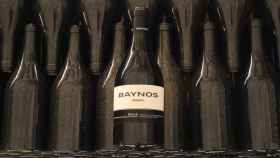 Baynos, el desembarco de Bodegas Mauro en Rioja