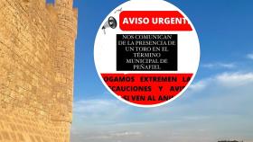 Aviso del Ayuntamiento de Peñafiel