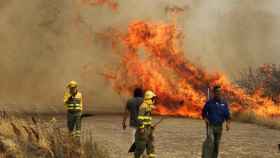 Un incendio en un campo de trigo en Tábara, Zamora, el pasado 18 de julio de 2022.
