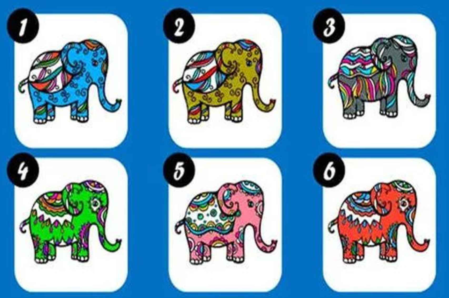 Nuevo test de personalidad: dinos qué elefante te gusta más y te diremos  cómo eres