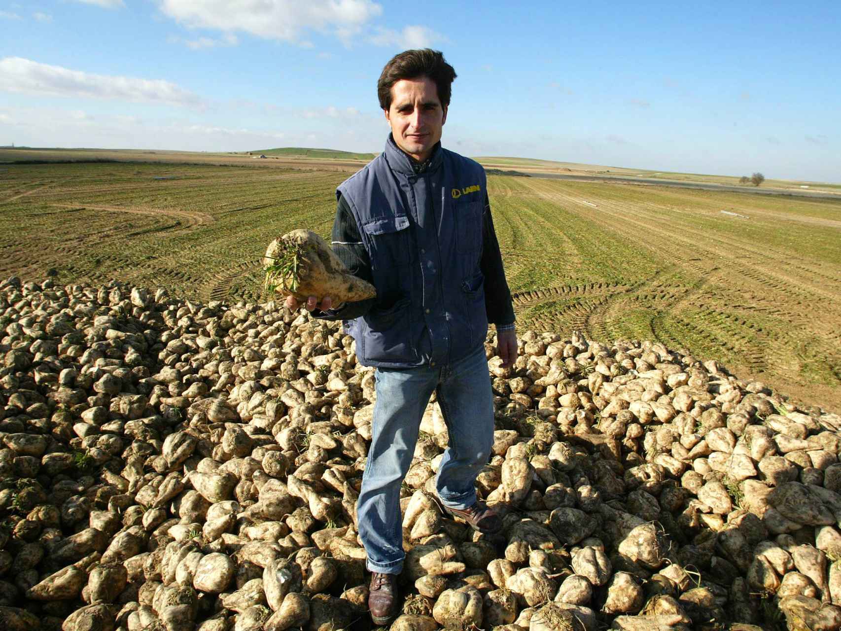 Un agricultor en su cultivo de remolacha