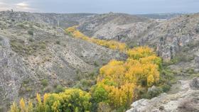 El increíble barranco de Guadalajara en el que Félix Rodríguez de la Fuente grabó sus películas